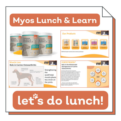 Myos Lunch & Learn-min